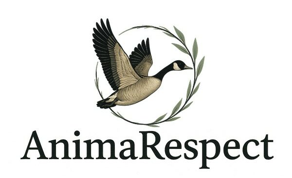 Animarespect - Éthique & Bien-être animal, consommation éthique et responsable
