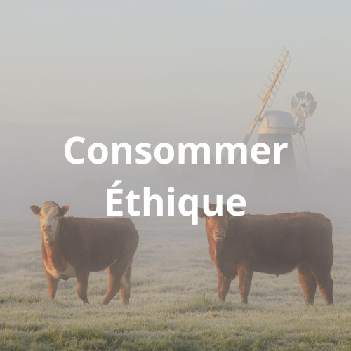 vaches libres dans un champs, consommer éthique pour le bien-être animale