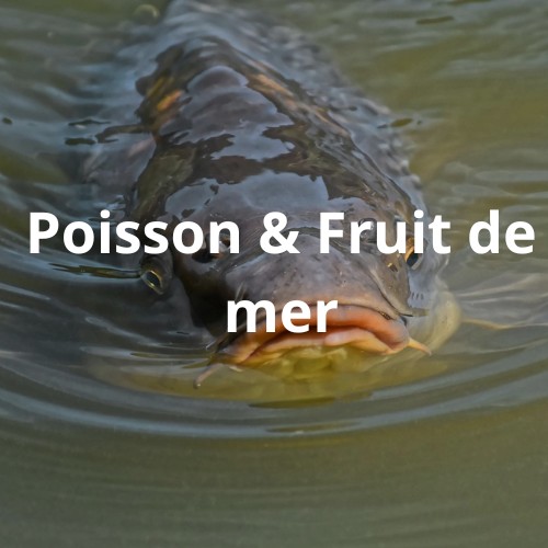 poisson libre